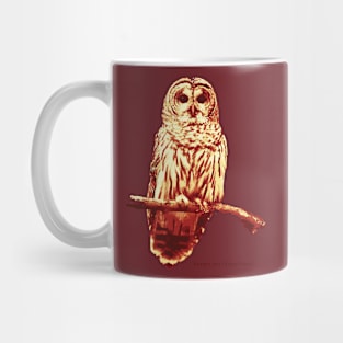 Barred Owl (no Background) Mug